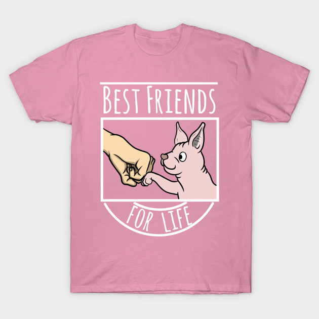 Sphynx Cat Best Friends For Life